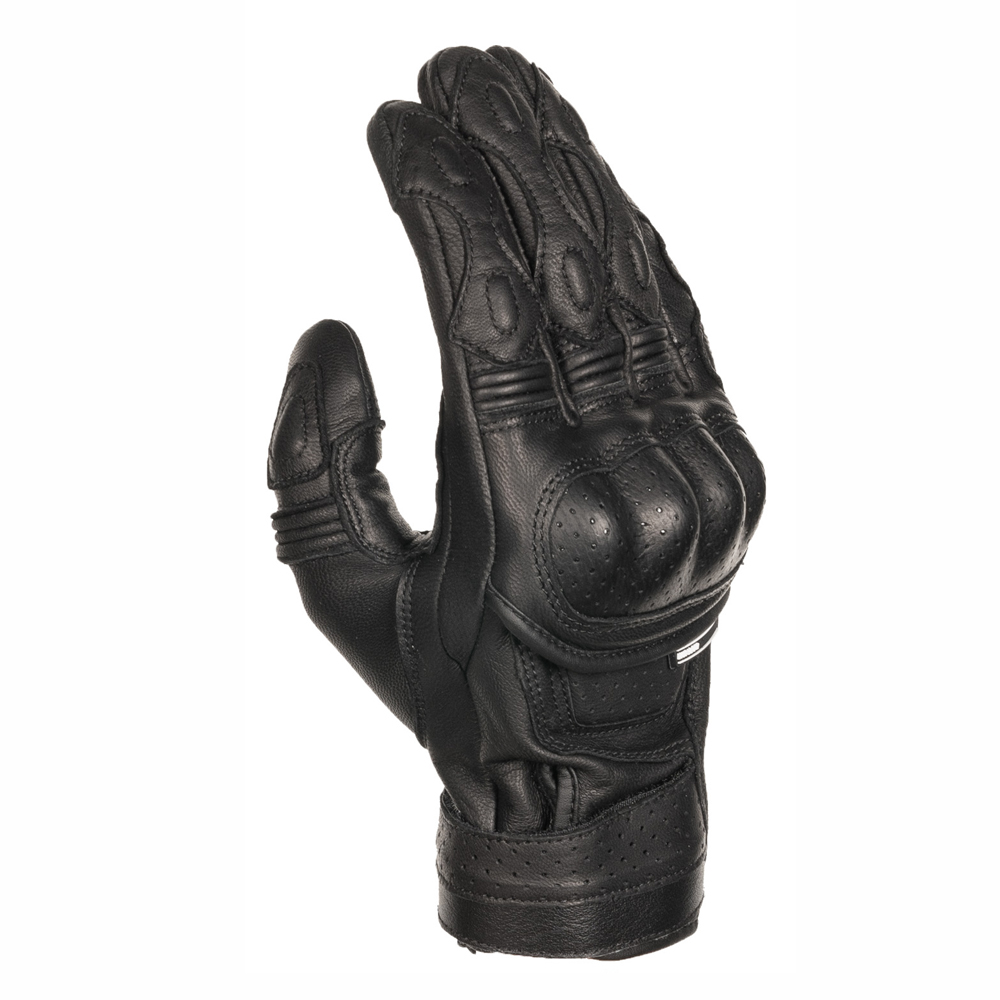 Daisy on the Ohoopee